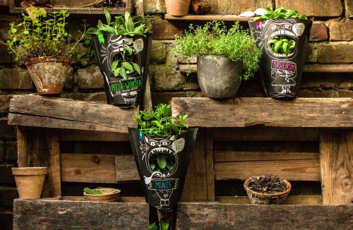 cox_body_schnauze-voll