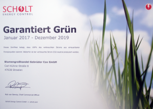gruenstrom-zertifikat